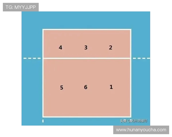 杭州排球队的节奏揭秘：排球深度解析与战术创新探讨