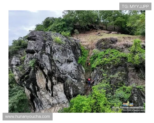 杭州攀岩队状态分析与训练成果探讨聚焦攀岩运动发展新趋势