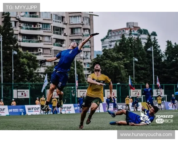 重庆飞盘队的崛起与力量探索聚焦飞盘运动的魅力与团队精神