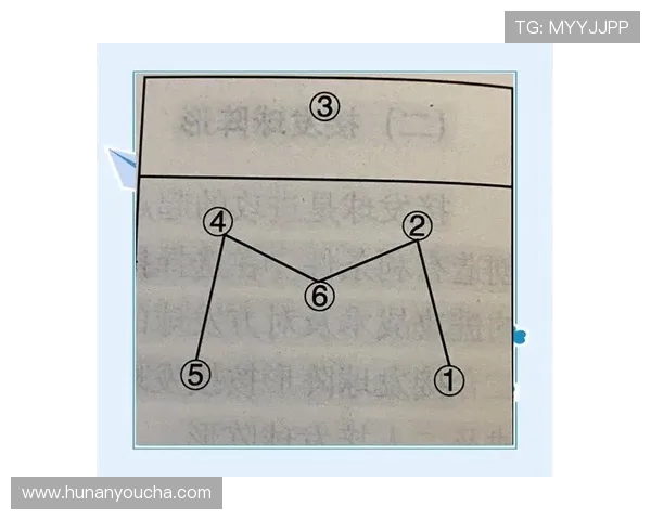 北京排球队配合策略分析与战术提升探讨 北京排球队配合策略分析与战术提升探讨