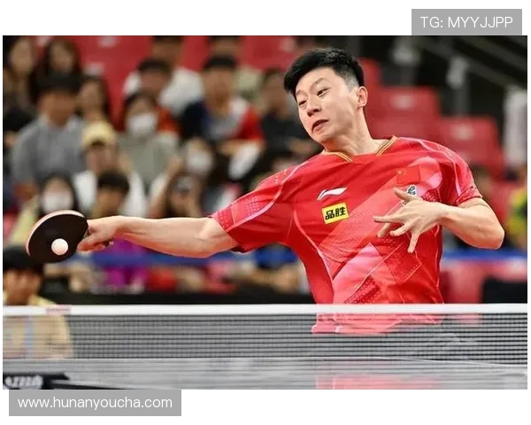 对话乒乓球名将赵芳回顾辉煌生涯与未来展望